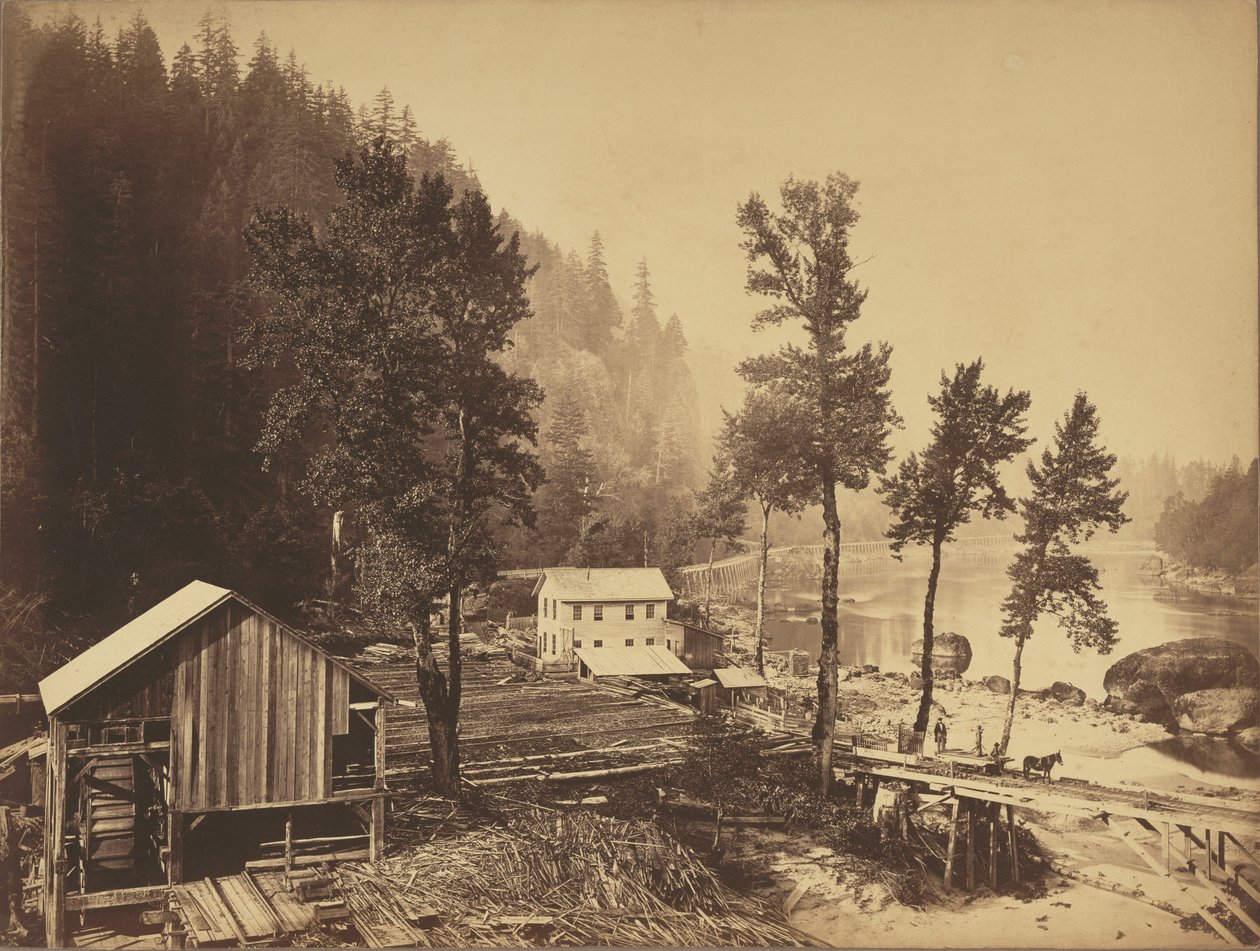 Eagle Creek, rzeka Columbia autorstwa Carleton Watkins