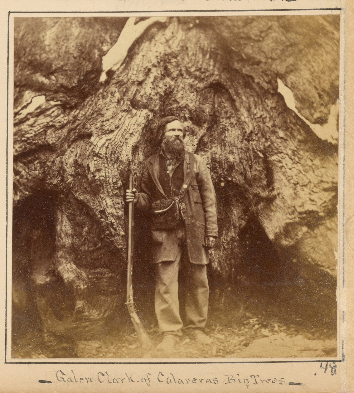 Galen Clark, Esq., Mariposa Grove, hrabstwo Mariposa, Kalifornia autorstwa Carleton Watkins