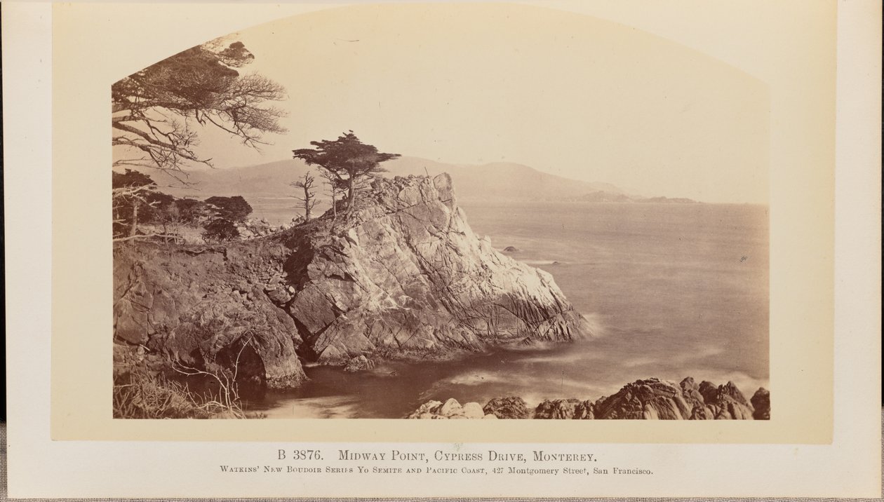 Midway Point, Cypress Drive, Monterey autorstwa Carleton Watkins