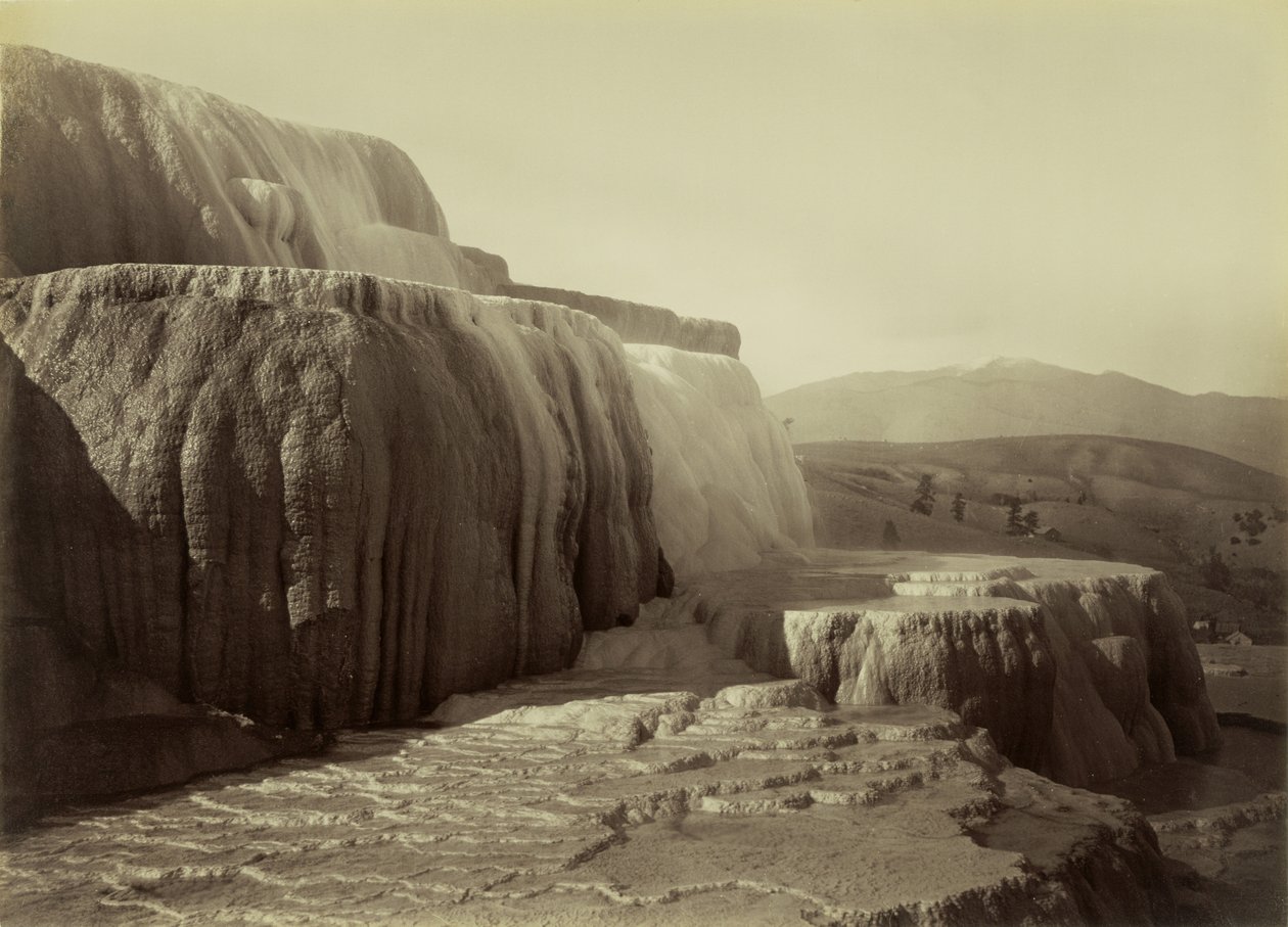 [Tarasy Minerwy, Park Narodowy Mammoth Hot Springs] autorstwa Carleton Watkins