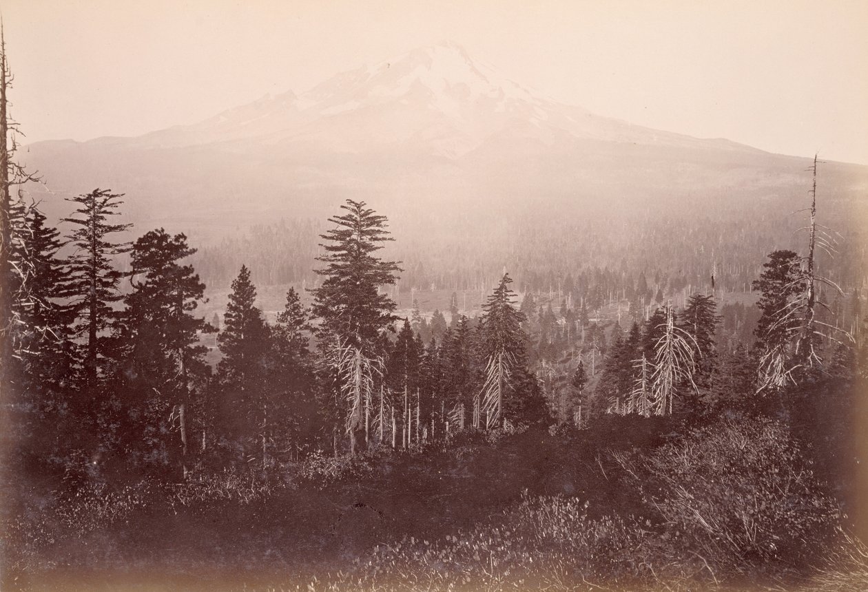 Mount Shasta autorstwa Carleton Watkins