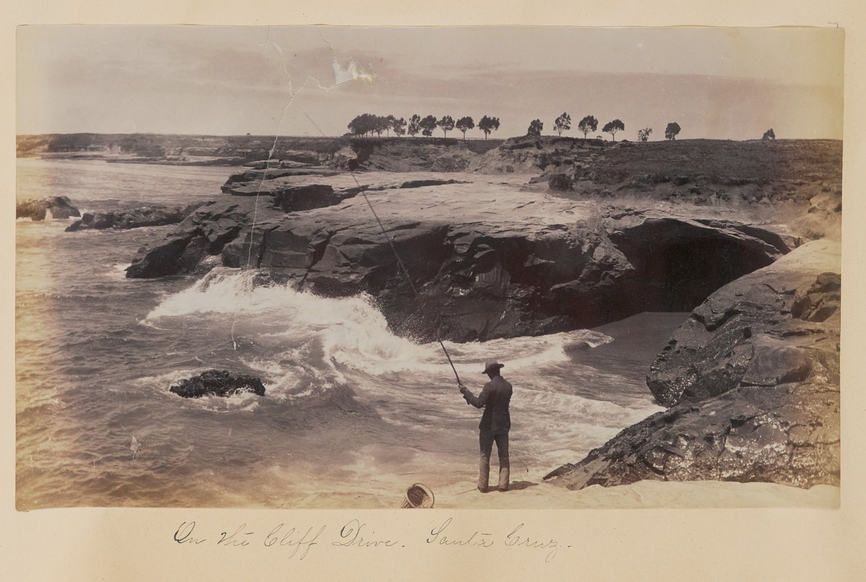 Na Cliff Drive, Santa Cruz autorstwa Carleton Watkins