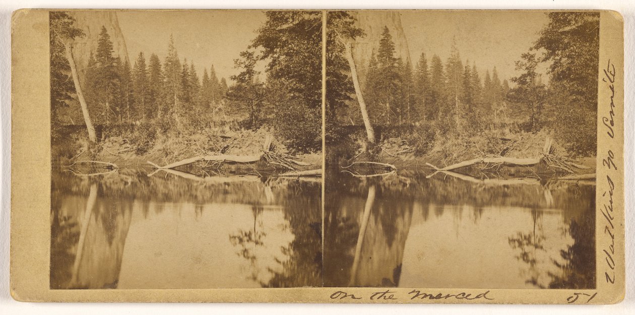 Am Merced autorstwa Carleton Watkins