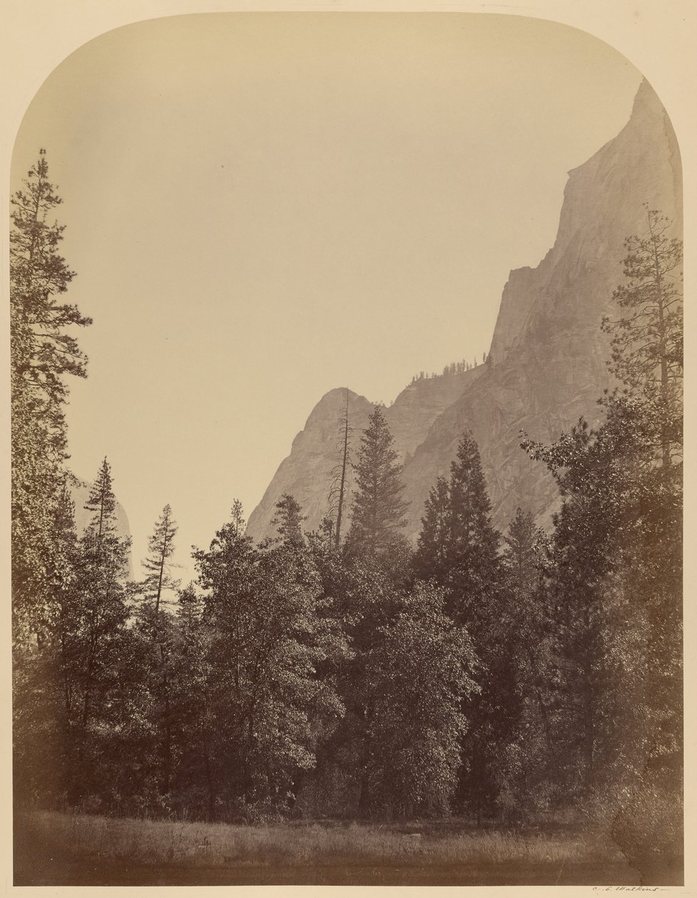 Widok konturowy Half Dome - 4967 stóp, Yo Semite autorstwa Carleton Watkins