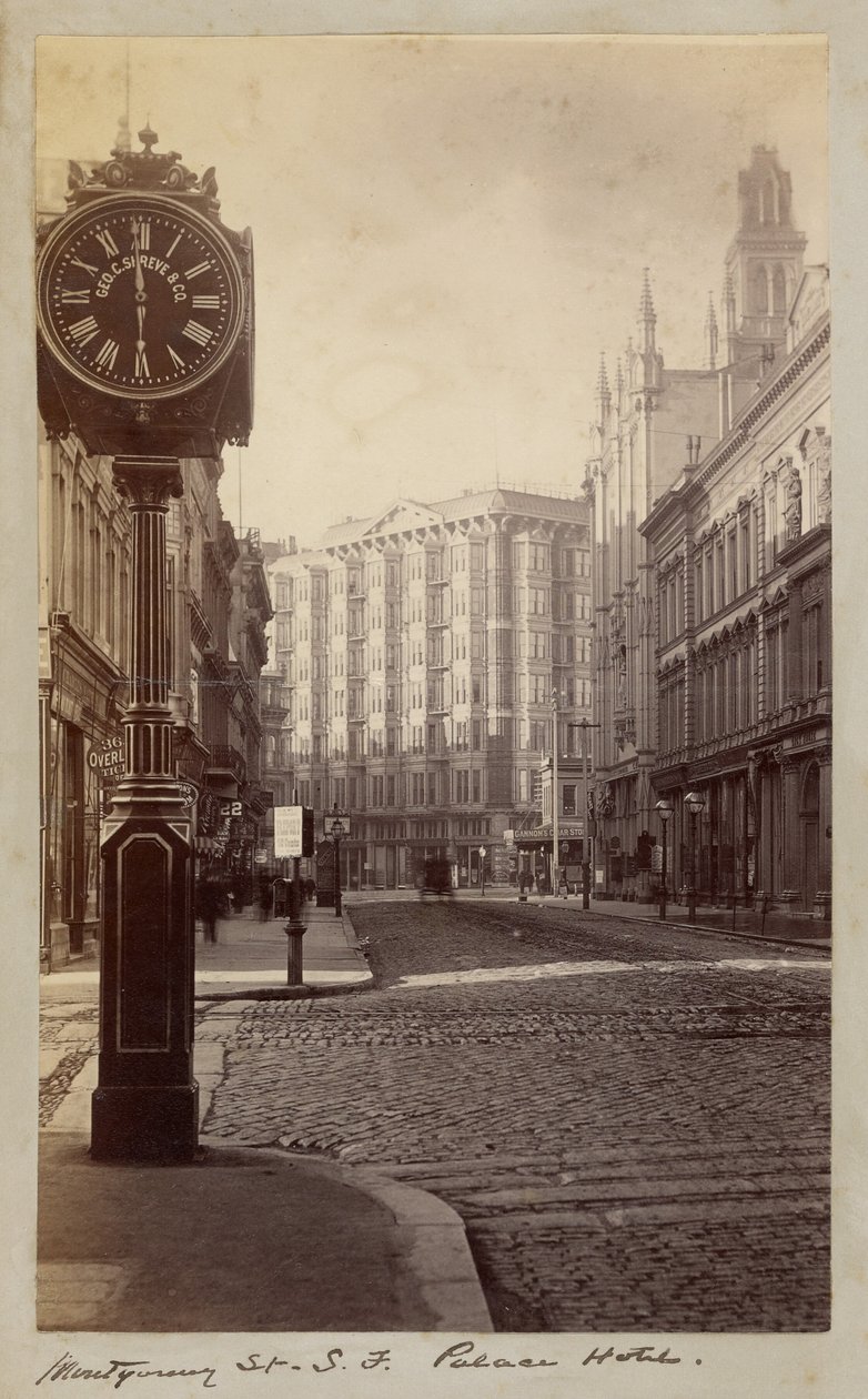 Palace Hotel, Montgomery Street, San Francisco autorstwa Carleton Watkins