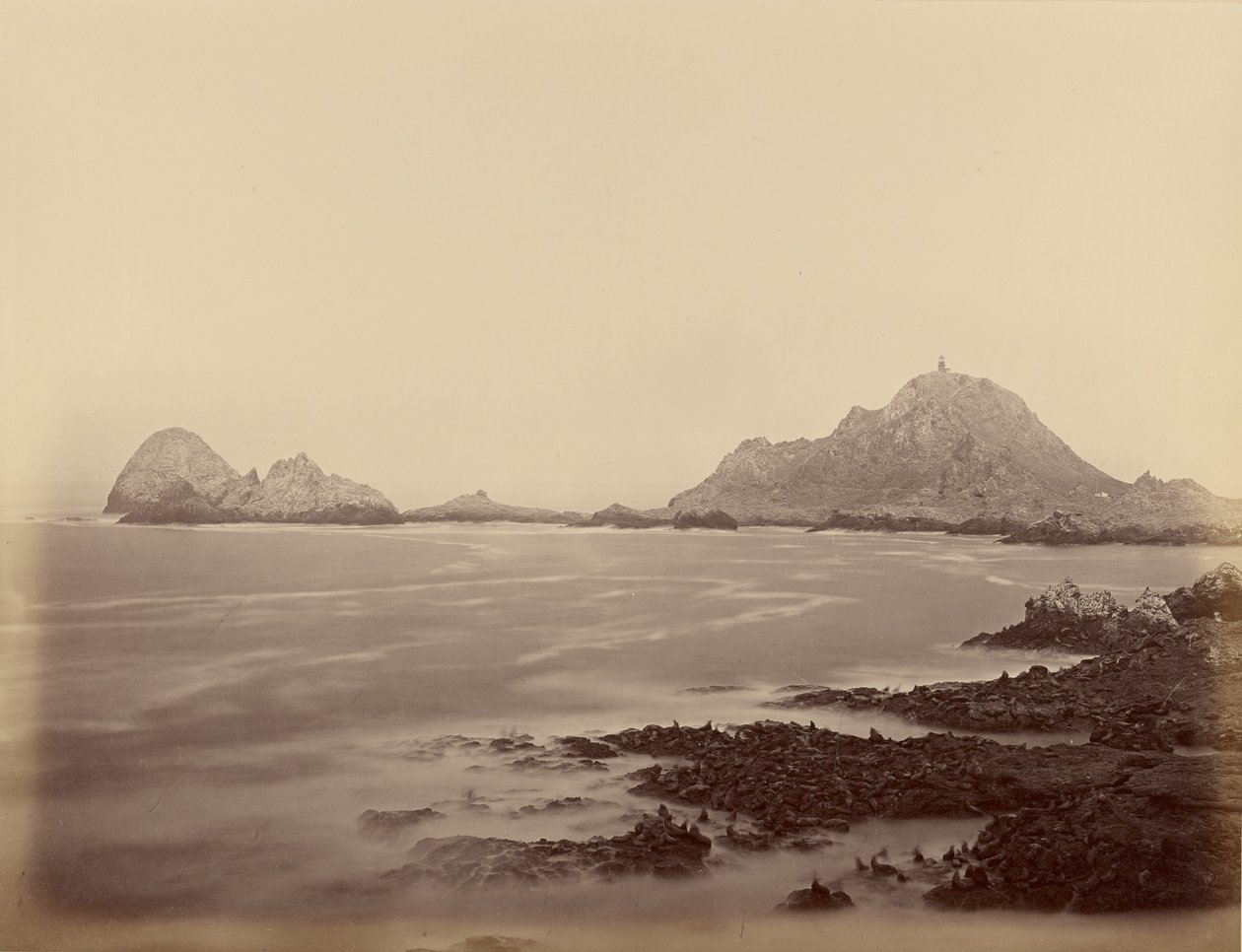 Seal Point od zachodniego krańca Farallones autorstwa Carleton Watkins