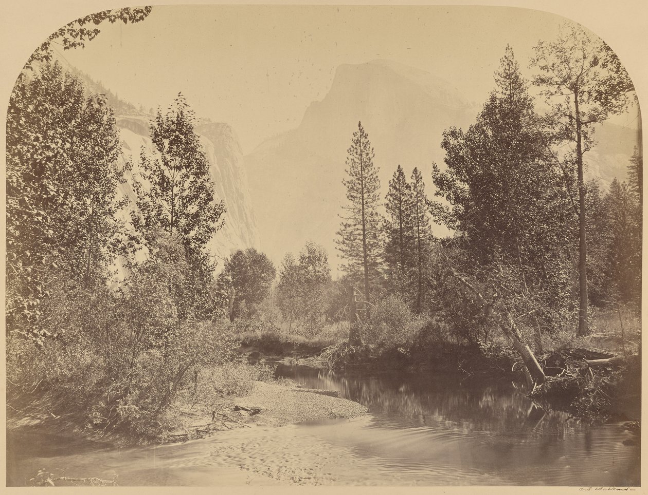 Tasayac - Half Dome - 4967 stóp, Yo Semite autorstwa Carleton Watkins