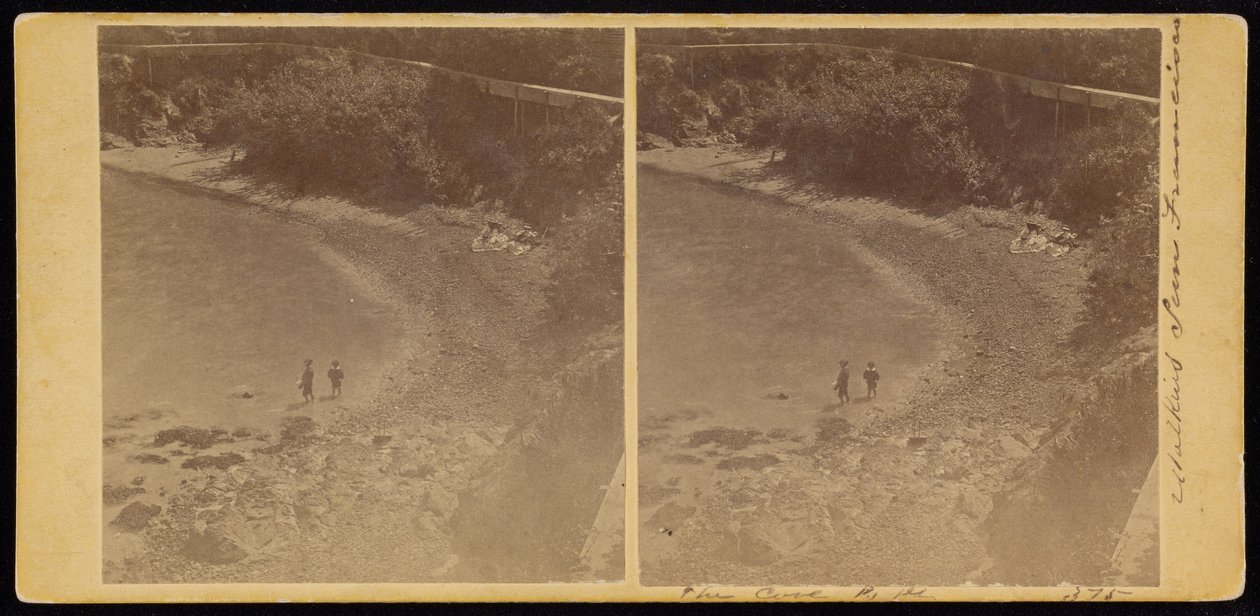 Zatoka, S.F autorstwa Carleton Watkins