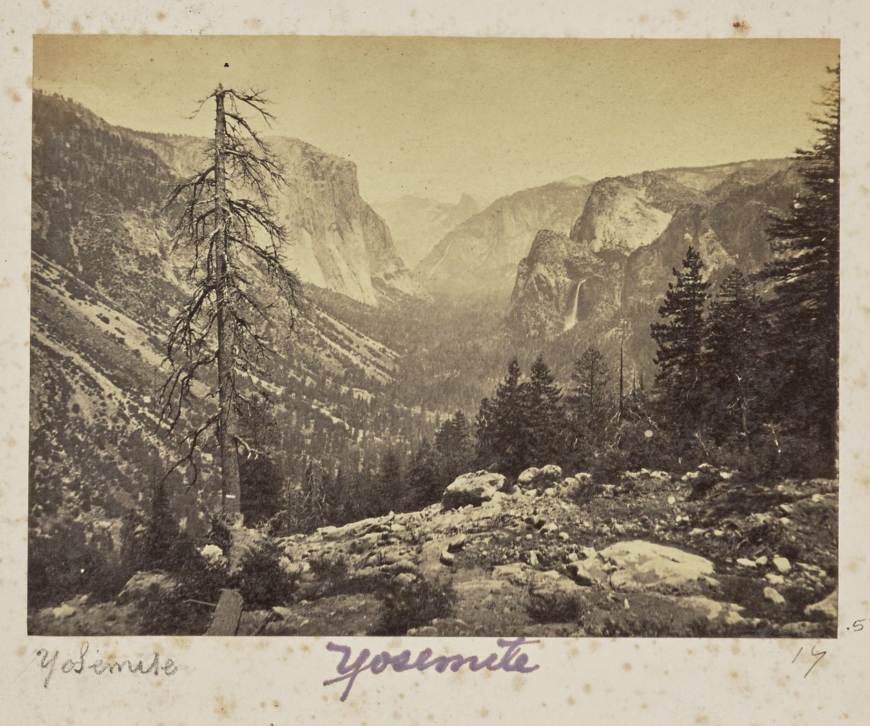 Dolina Yosemite, ze szlaku Mariposa, dolina Yosemite, hrabstwo Mariposa, Kalifornia (nr 1138) autorstwa Carleton Watkins