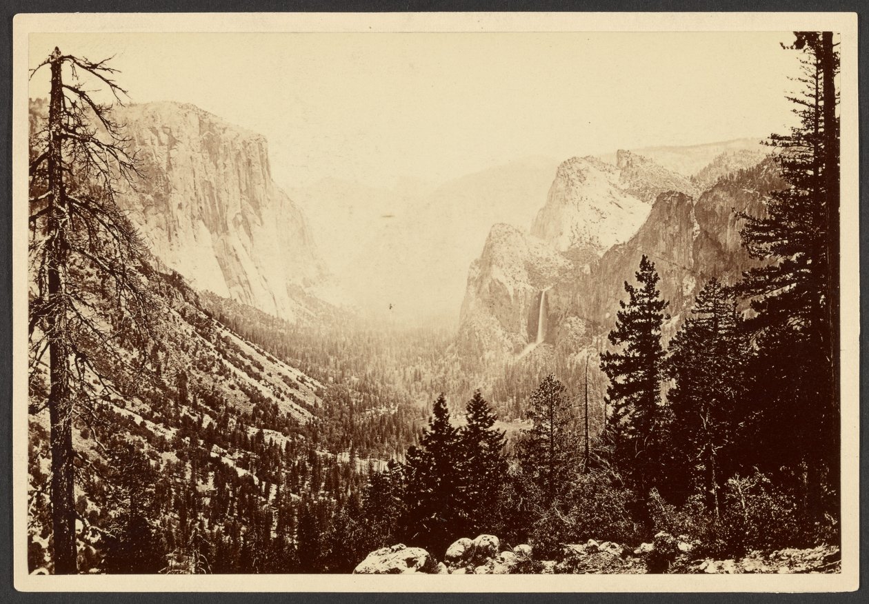Yosemite z Inspiration Point autorstwa Carleton Watkins