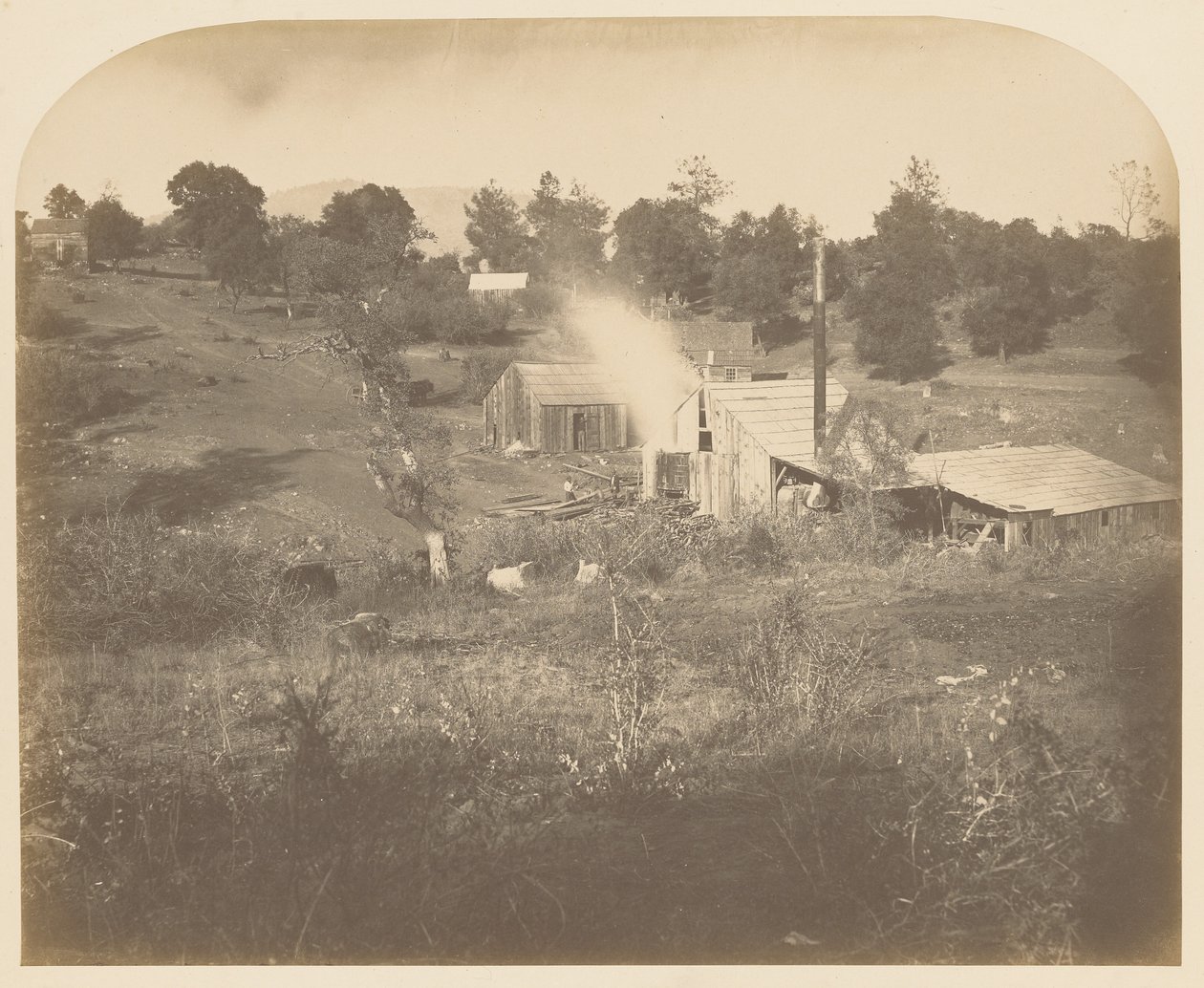 [Młyn Turnera] autorstwa Carleton Watkins