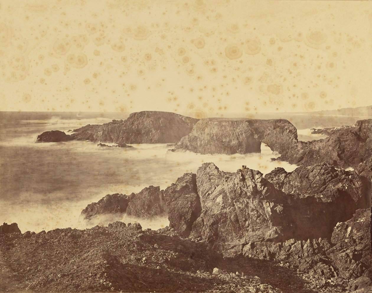 [Widok wybrzeża Mendocino] / [Widok wybrzeża u wybrzeży Mendocino] autorstwa Carleton Watkins