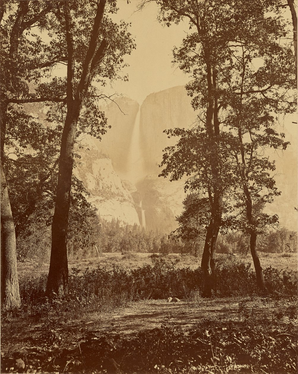 [Wodospady Yosemite od dołu] autorstwa Carleton Watkins