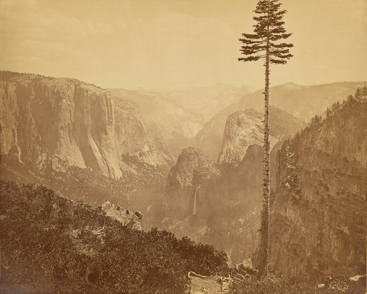 [Dolina Yosemite widziana ze szlaku Mariposa] autorstwa Carleton Watkins