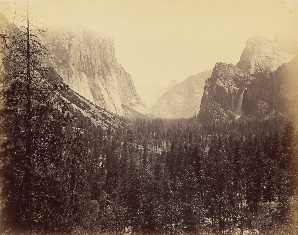 [Dolina Yosemite ze szlaku Mariposa] autorstwa Carleton Watkins