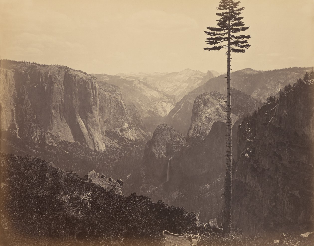 [Dolina Yosemite z najlepszego punktu widokowego] autorstwa Carleton Watkins