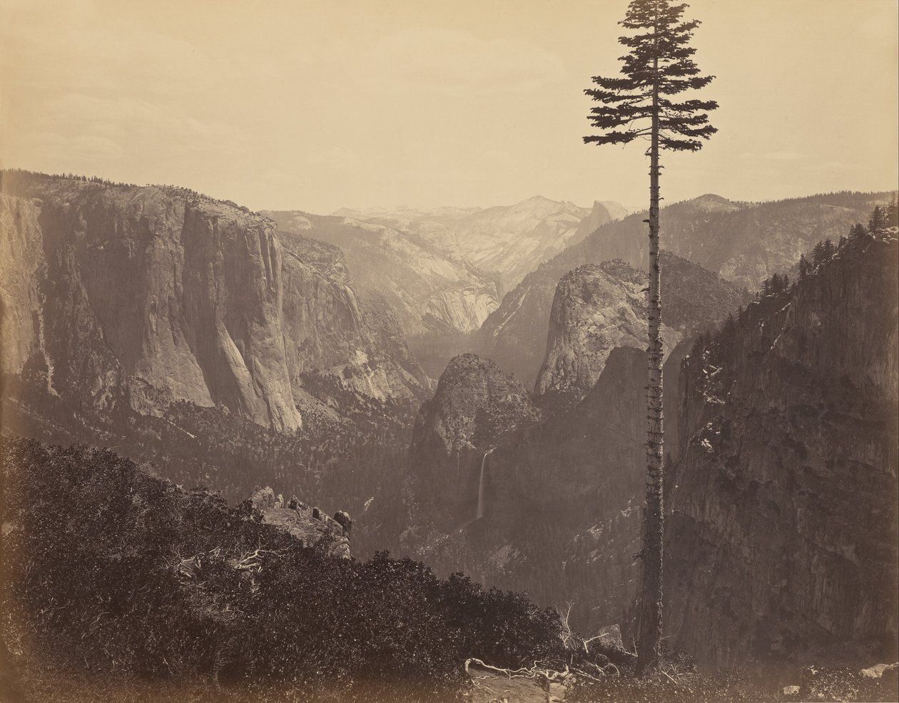 Dolina Yosemite z najlepszego widoku ogólnego autorstwa Carleton Watkins
