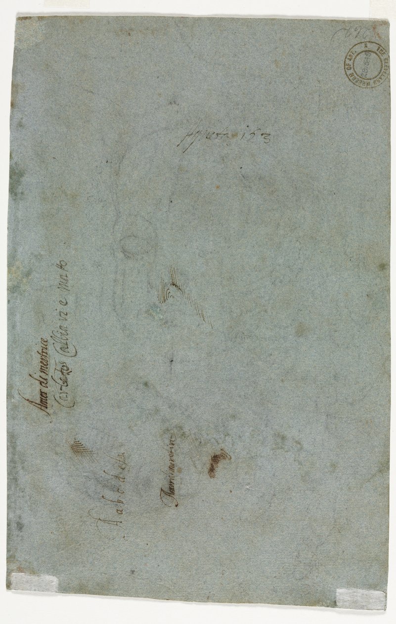 Szkic głowy dziecka wers. 1586. autorstwa Carletto Caliari