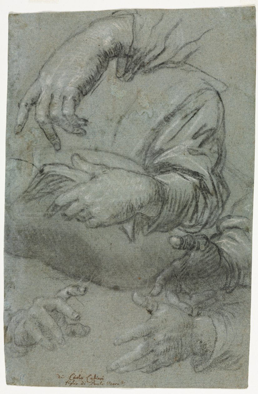Studia rąk prosto, Szkic głowy dziecka verso, ok. 1930. 1586. autorstwa Carletto Caliari