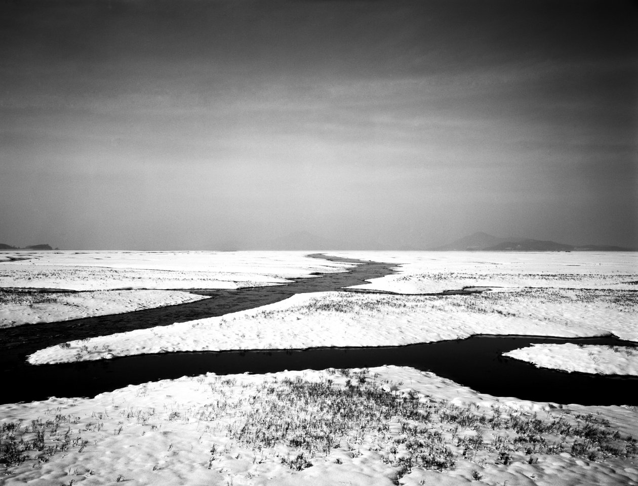 Forever at the Sea, 2012 autorstwa Carli Choi