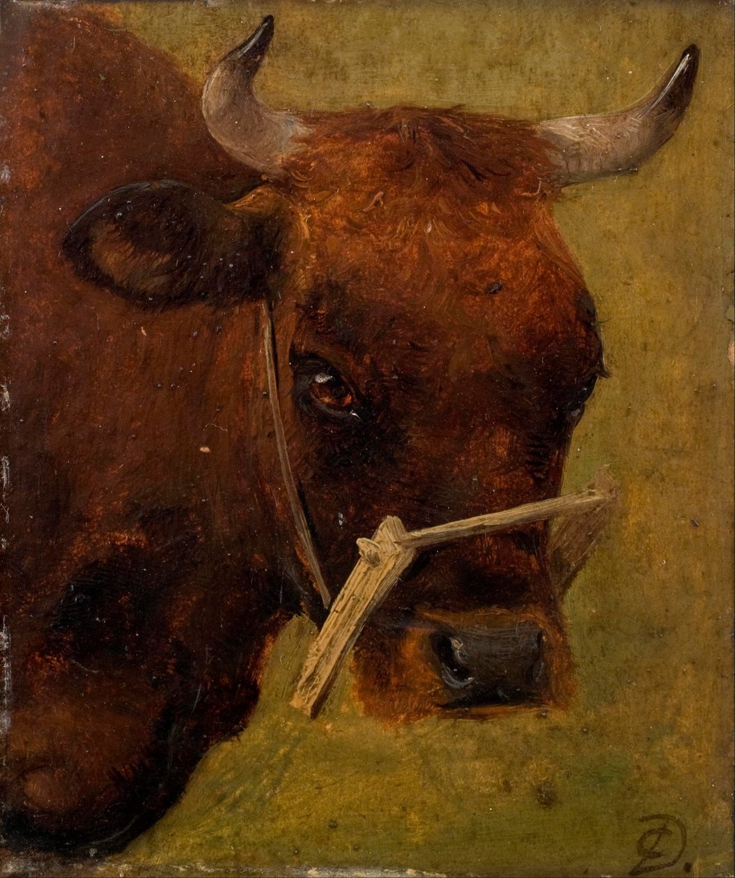 Głowa krowy. Badanie. autorstwa Carlo Dalgas