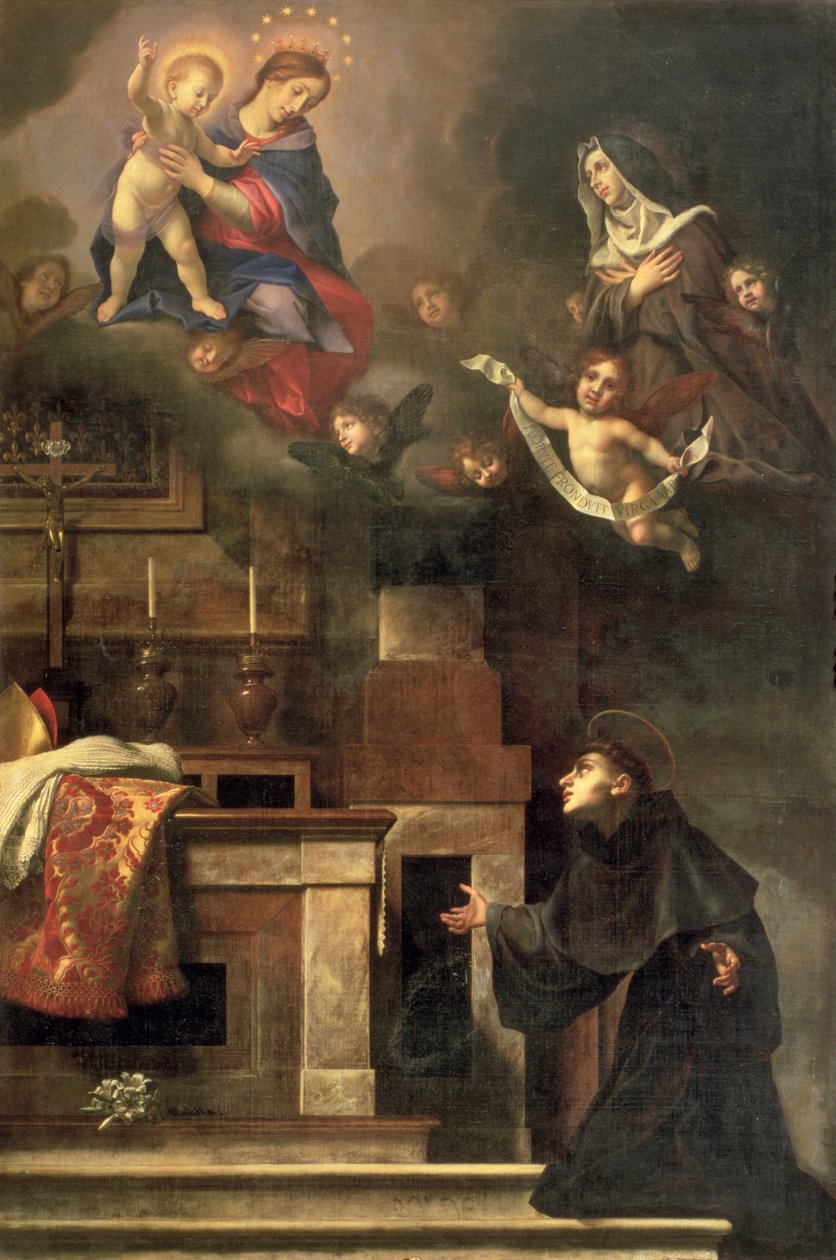 Dziewica ukazująca się św. Ludwikowi z Tuluzy autorstwa Carlo Dolci