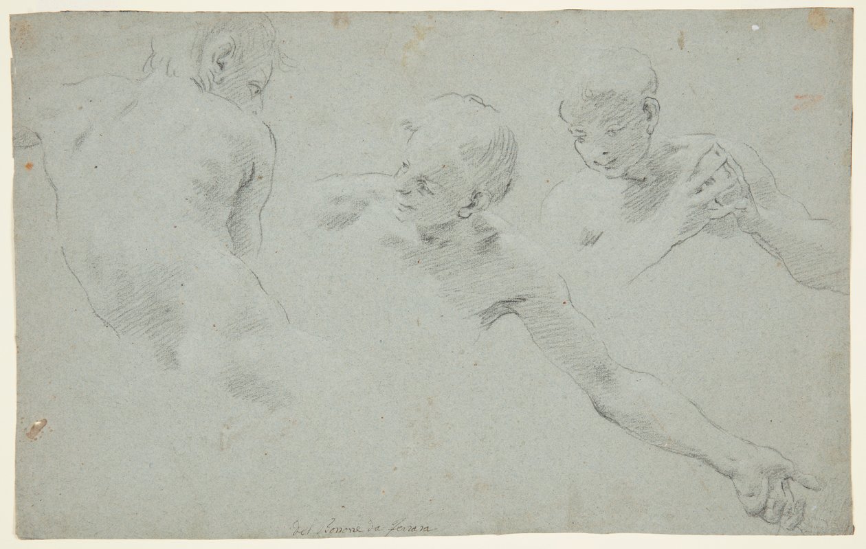 Badania figur autorstwa Carlo Bononi