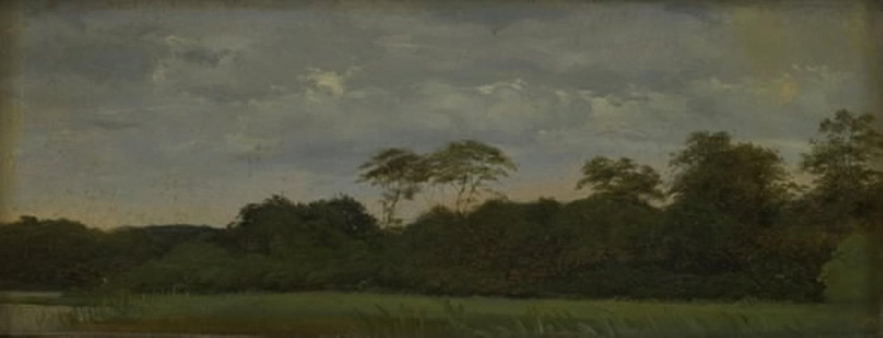 Łąka nad leśnym jeziorem autorstwa Carlo Dalgas
