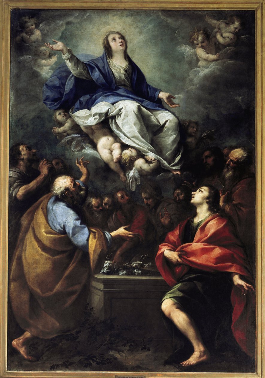 Wniebowstąpienie Maryi. (olej na płótnie autorstwa Carlo Francesco Nuvolone