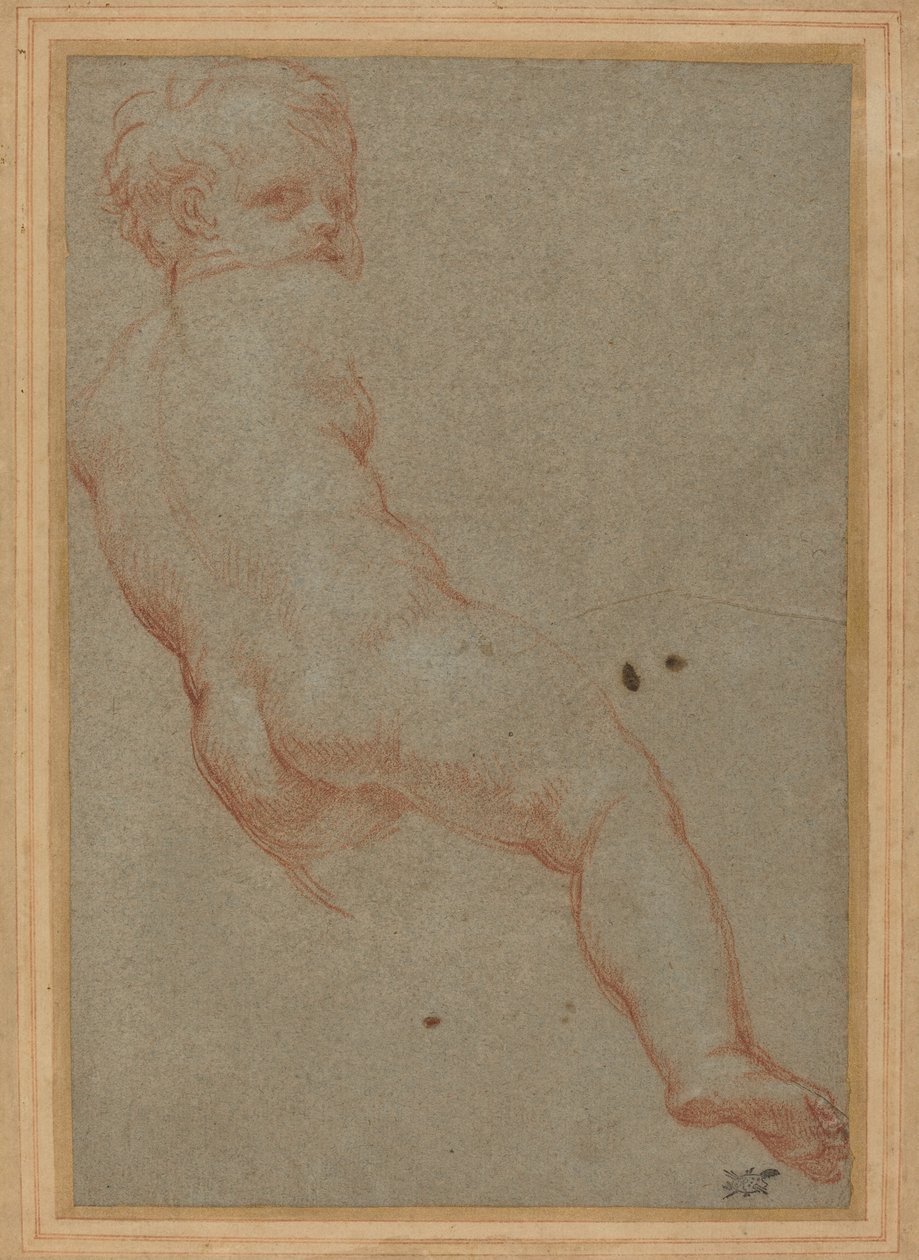 Studium młodego chłopca autorstwa Carlo Maratta