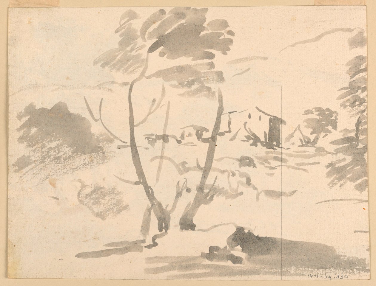 Rysunek, szkic drzewa w krajobrazie, 1760-1780 autorstwa Carlo Marchionni