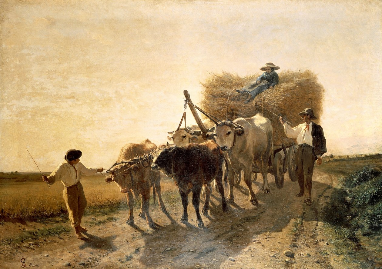 Żniwa - Carlo Pittara (1836-1890) autorstwa Carlo Pittara