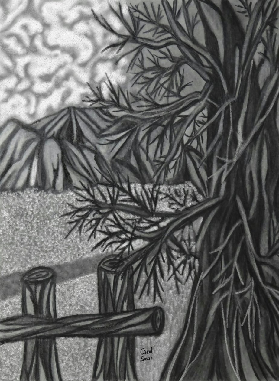 Cyfrowy rysunek węglem -2 autorstwa Carol Sousa Cuello