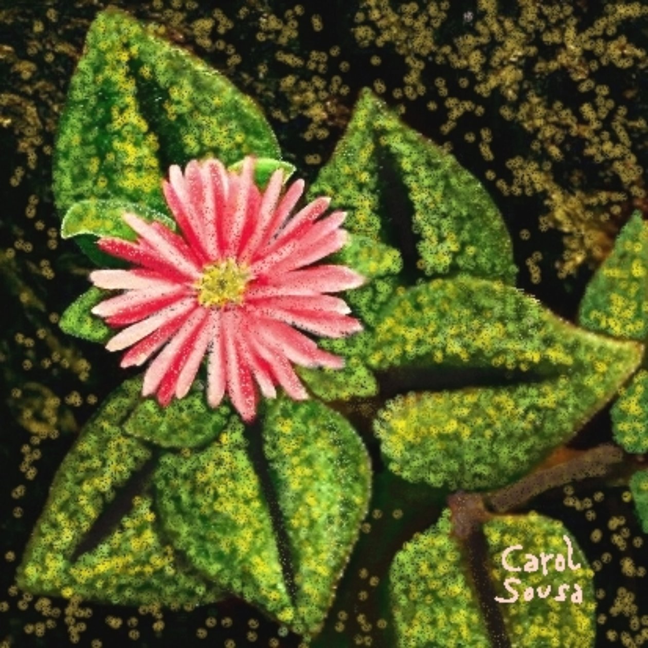 Flora Silvestre