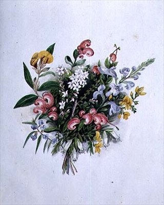 Wiązka Letnich Kwiatów, XIX w. autorstwa Caroline Louisa Meredith