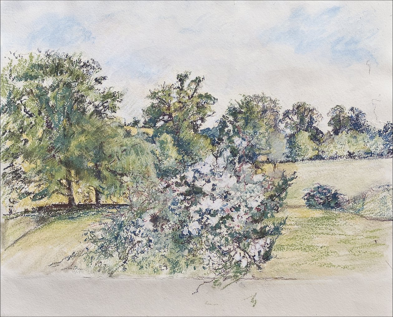 Sierpień z Naszego Okna, 2007 (pastel i wc na papierze) autorstwa Caroline Hervey-Bathurst