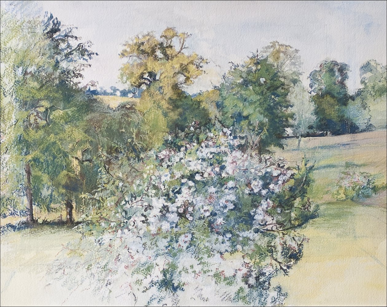 Czerwiec z Naszego Okna, 2007 (pastel i wc na papierze) autorstwa Caroline Hervey Bathurst