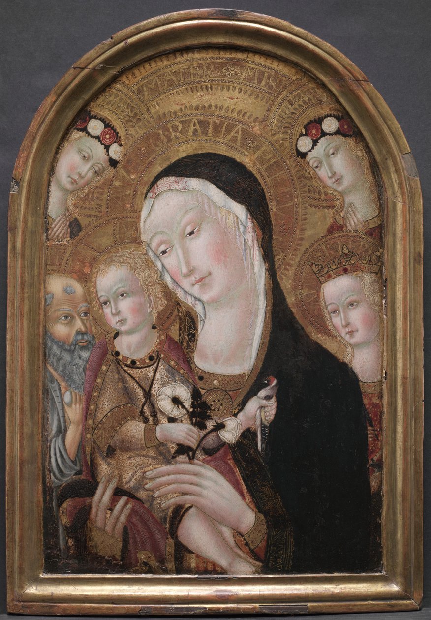 Dziewica z Dzieciątkiem ze św. Hieronimem i św. Katarzyną Aleksandryjską autorstwa Carolino da Viterbo