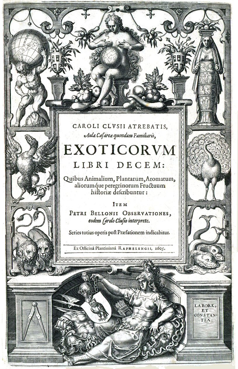 Dziesięć książek egzotyki autorstwa Carolus Clusius