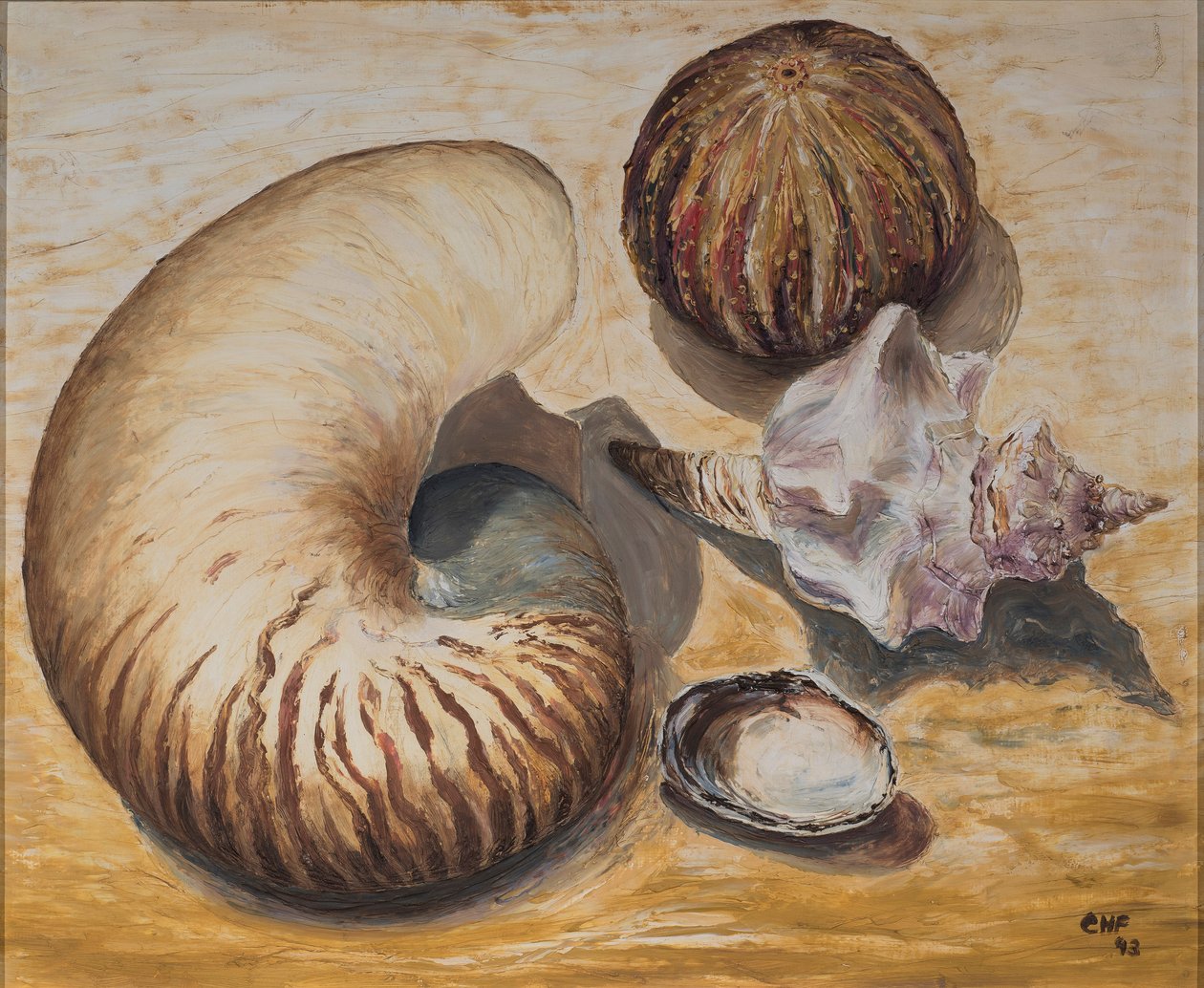 Muszelki, 1993 (olej na papierze) autorstwa Carolyn Hubbard Ford