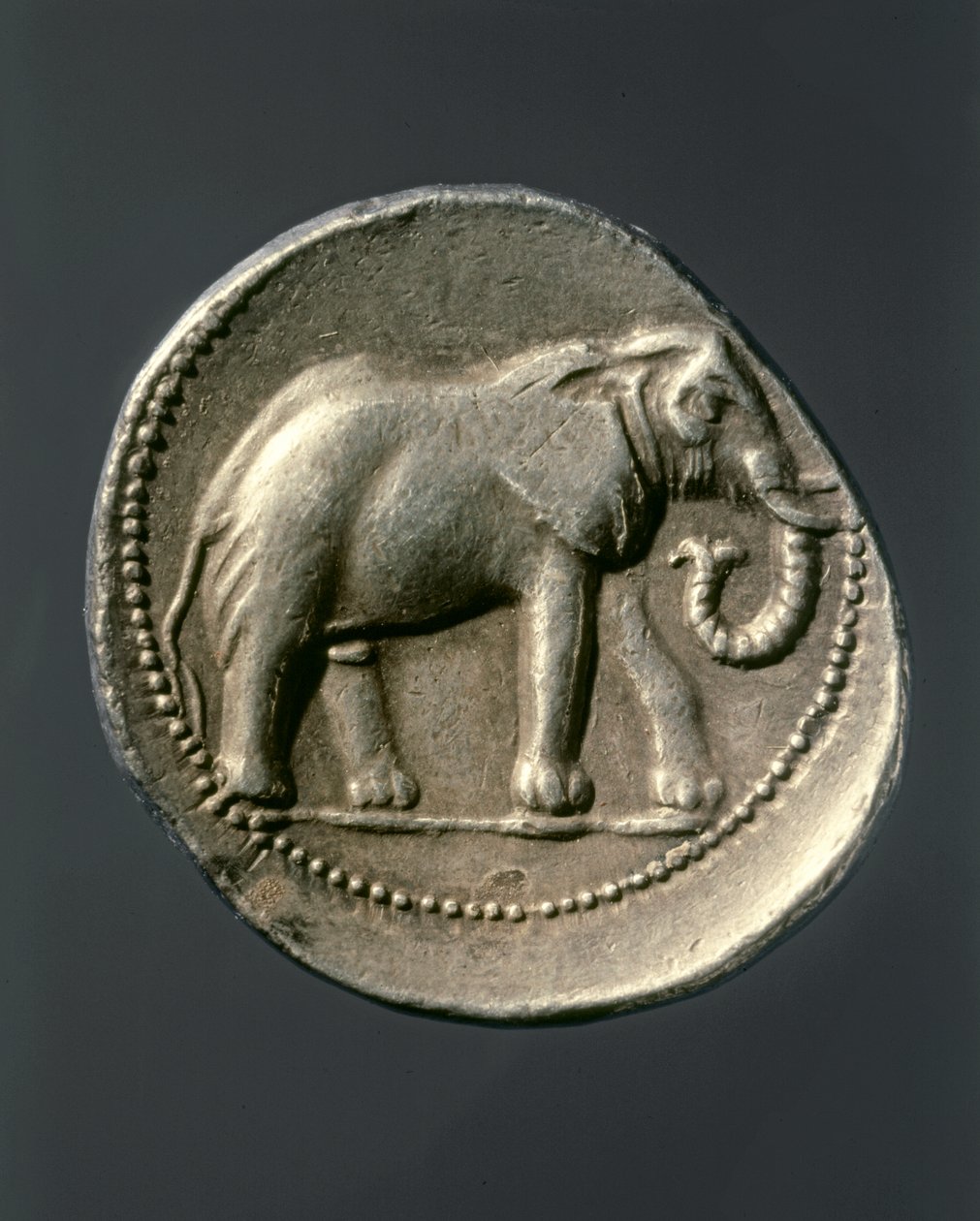 HANNIBAL Barca: Złota moneta przedstawiająca słonia Hannibala (złota moneta) autorstwa Carthaginian Carthaginian