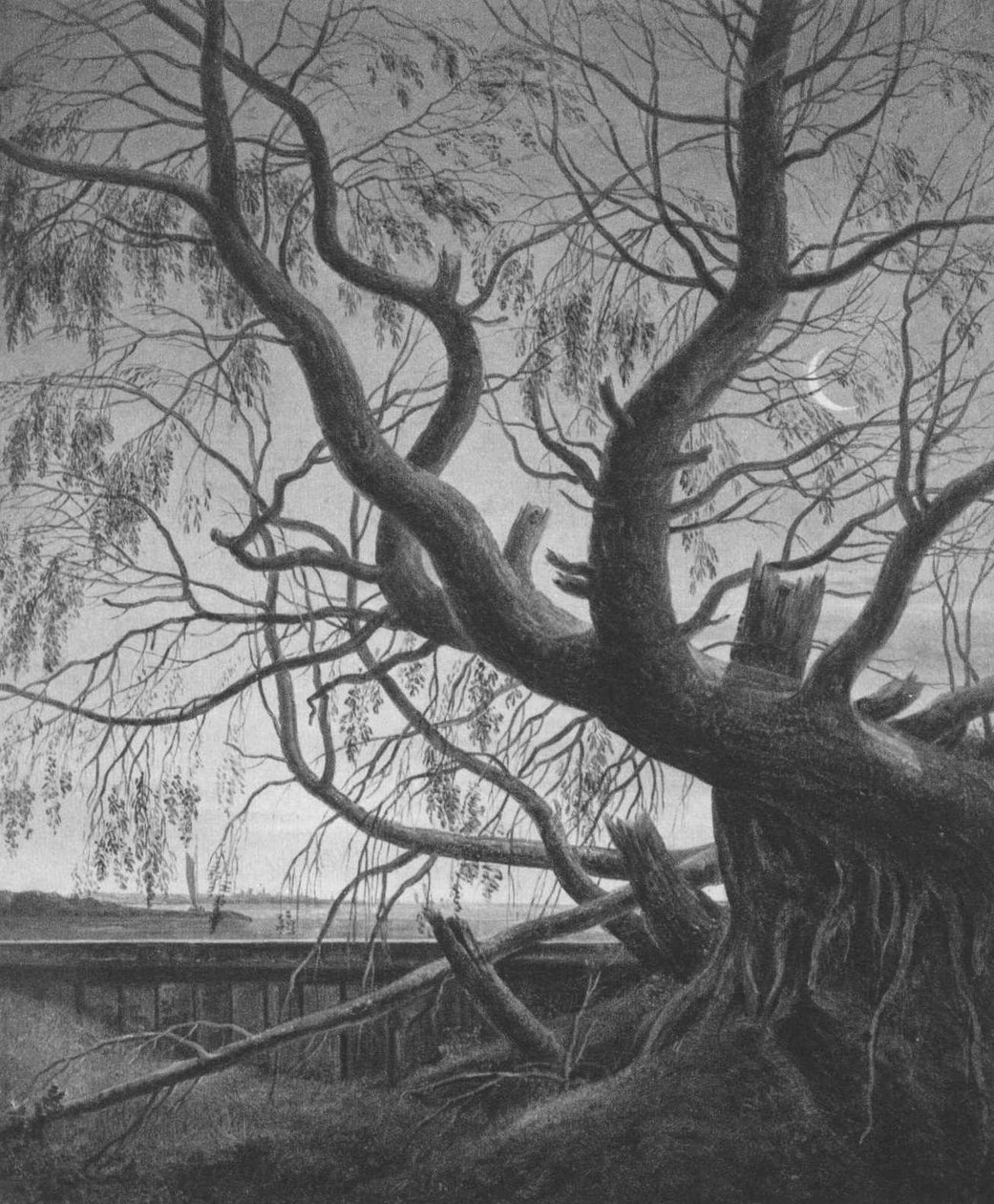 Wierzba w świetle księżyca autorstwa Caspar David Friedrich