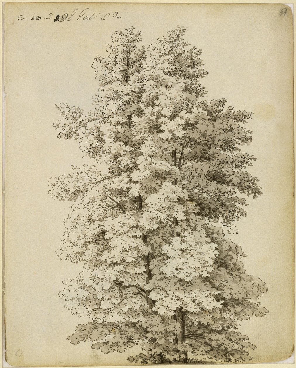 Grupa drzew autorstwa Caspar David Friedrich