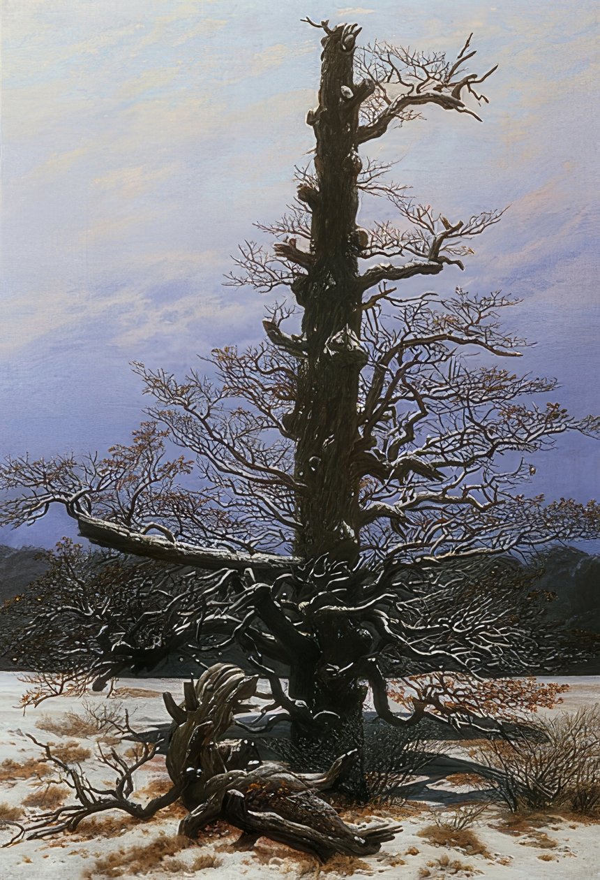 Dąb w śniegu. 1829 autorstwa Caspar David Friedrich