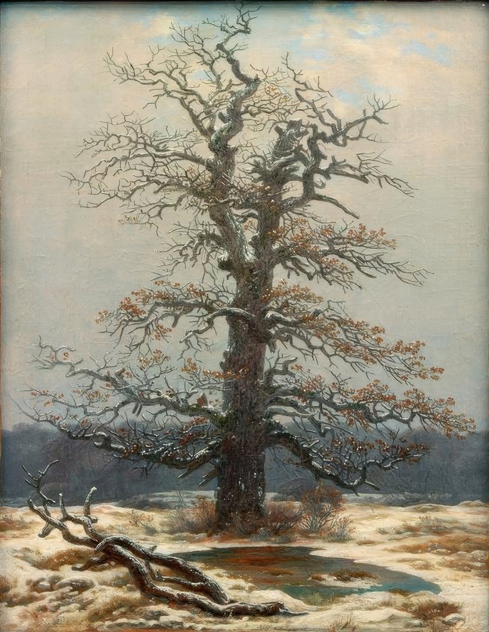 Dąb na śniegu autorstwa Caspar David Friedrich
