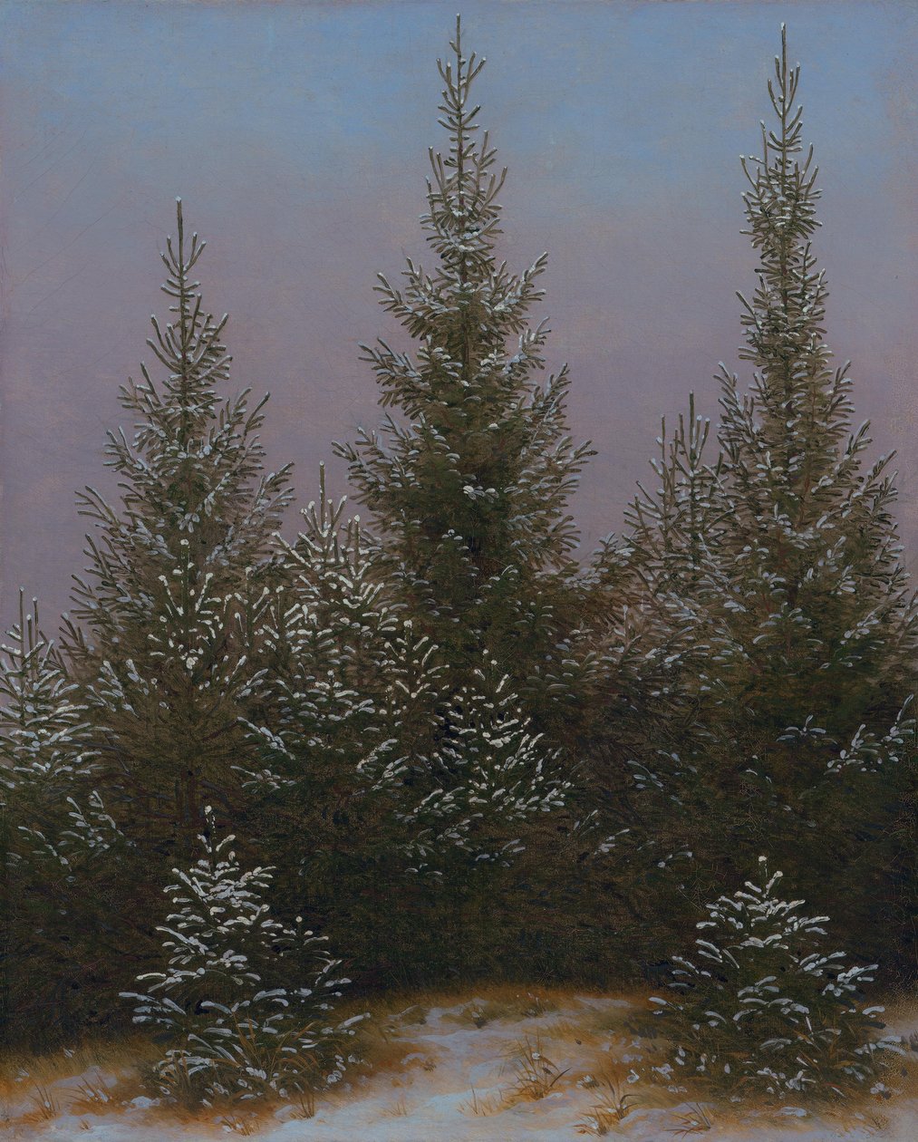 Gęsty las świerkowy w śniegu (Z „Dresdner Heide I”) autorstwa Caspar David Friedrich