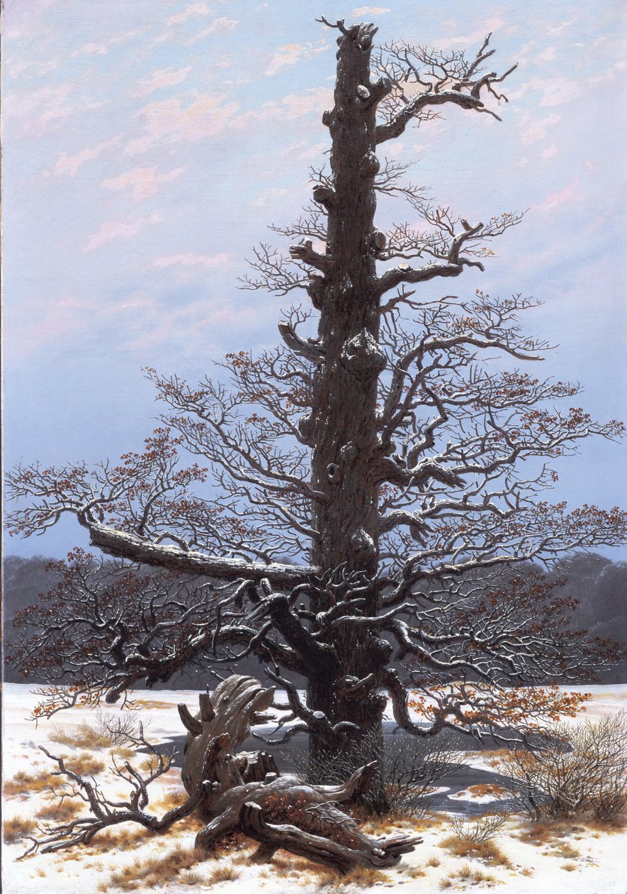 Niemiecki: Eichbaum im Schnee Drzewo dębowe w śniegu autorstwa Caspar David Friedrich