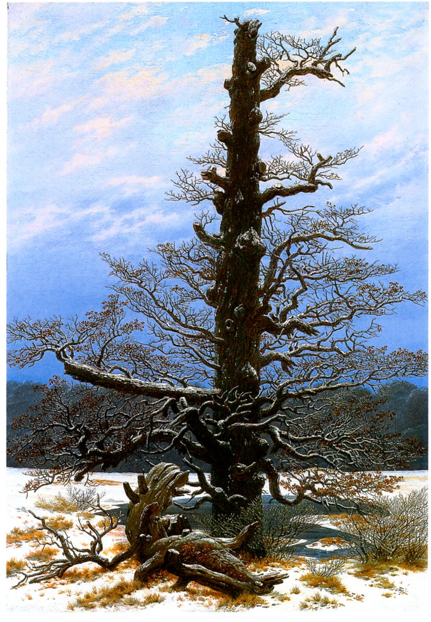 Niemiecki: Eichbaum im Schnee Drzewo dębowe w śniegu autorstwa Caspar David Friedrich