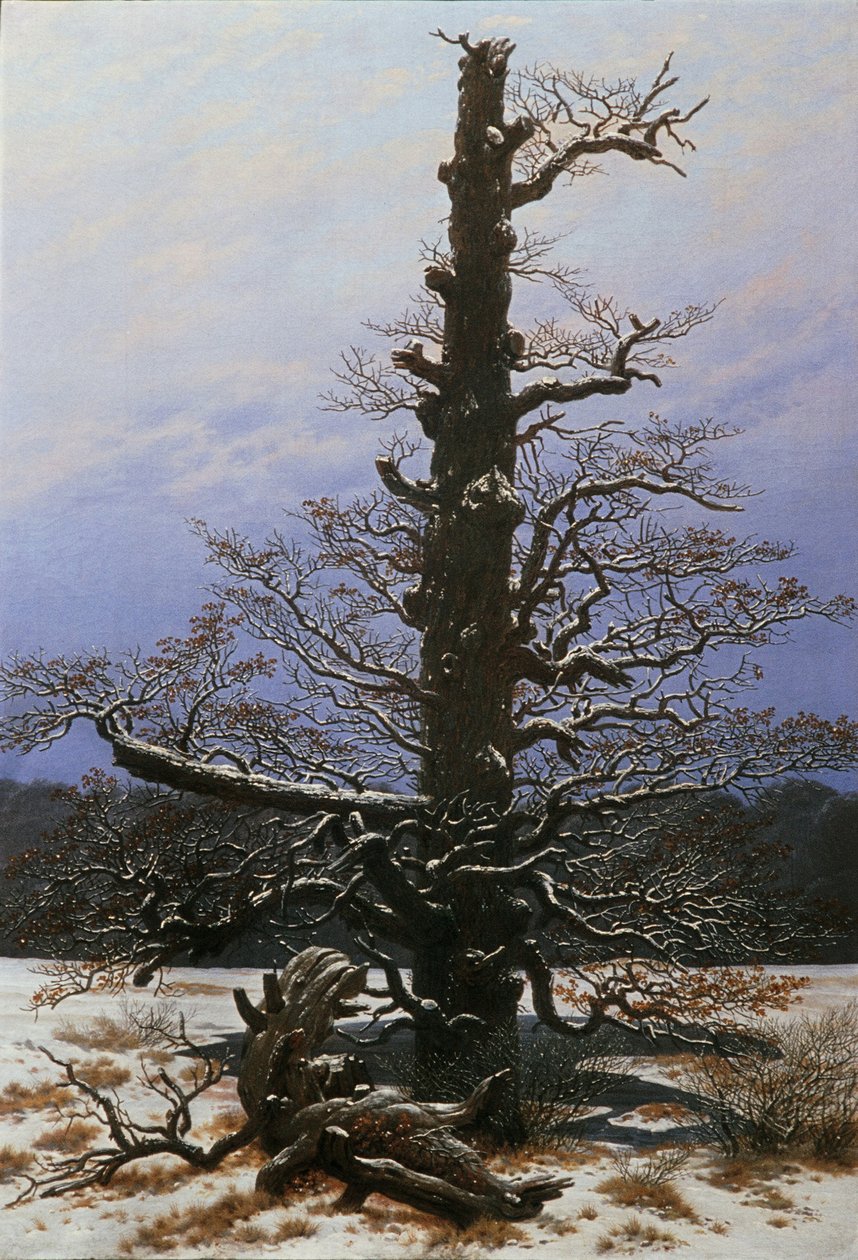 Dąb w śniegu autorstwa Caspar David Friedrich