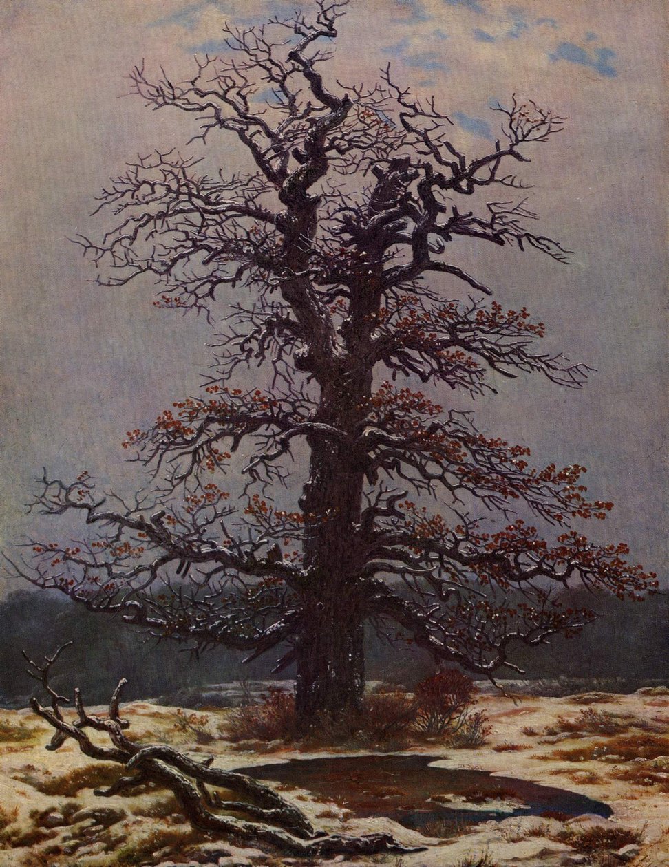 Dąb w śniegu autorstwa Caspar David Friedrich